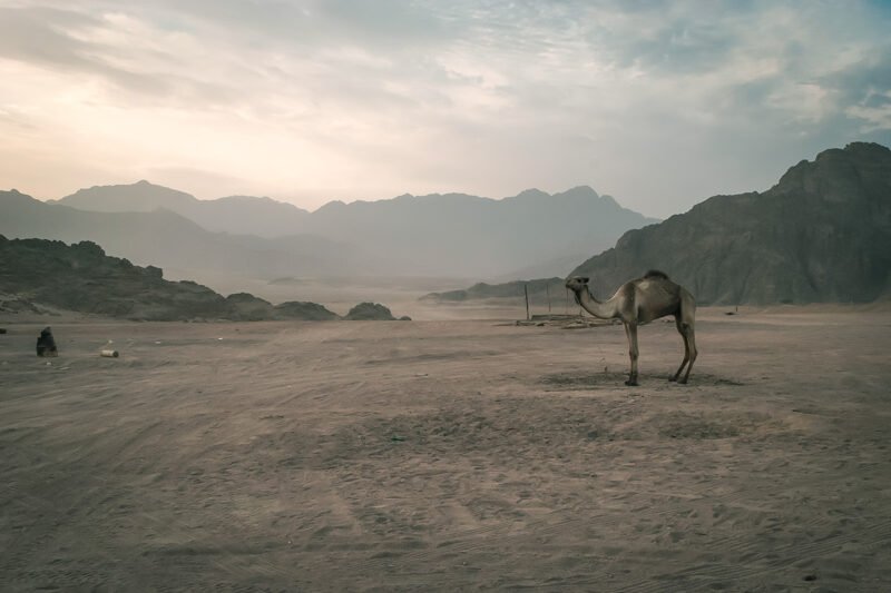 Package 7 Days 6 Nights To Cairo, Alexandria & Siwa Oasis